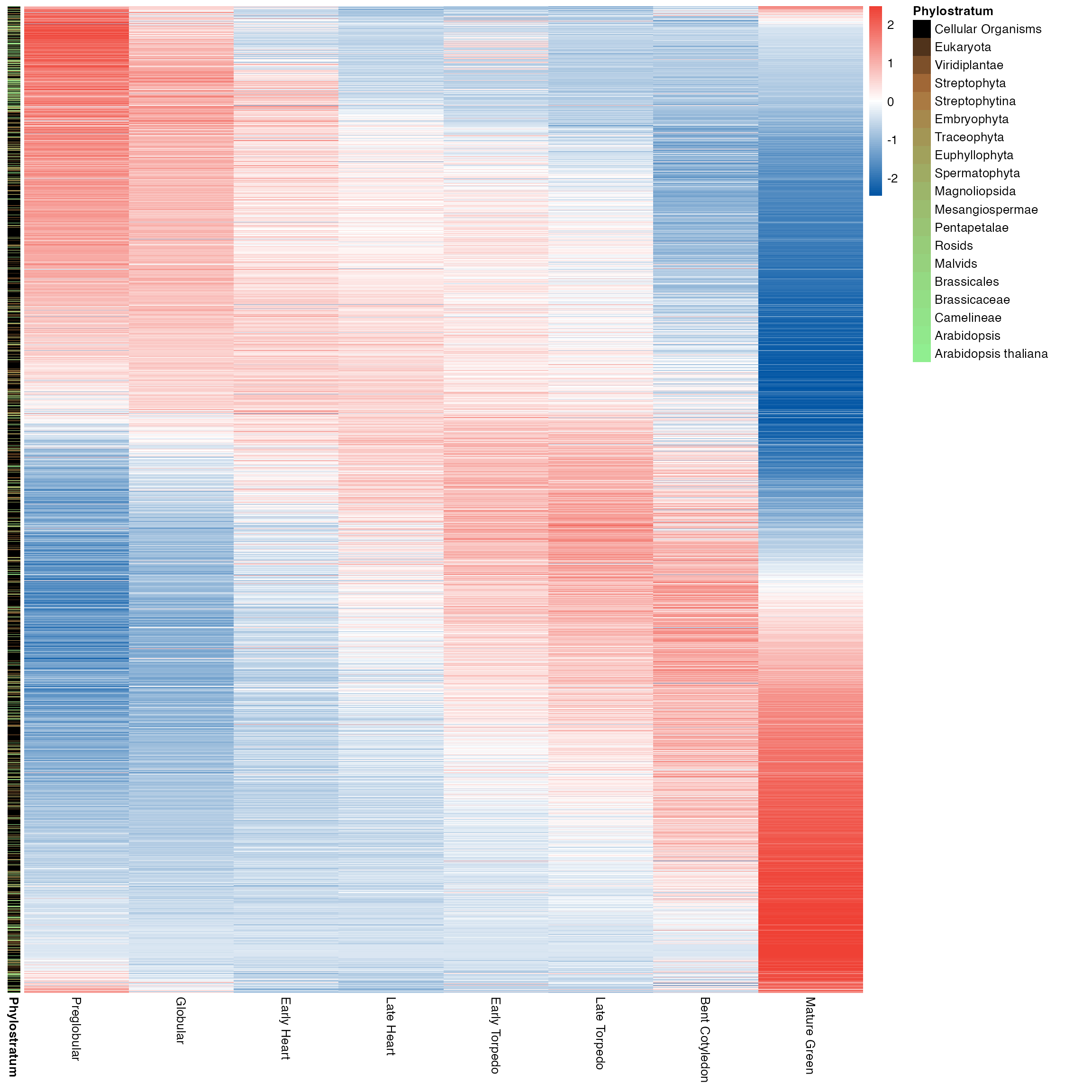 plot_gene_heatmap function output default