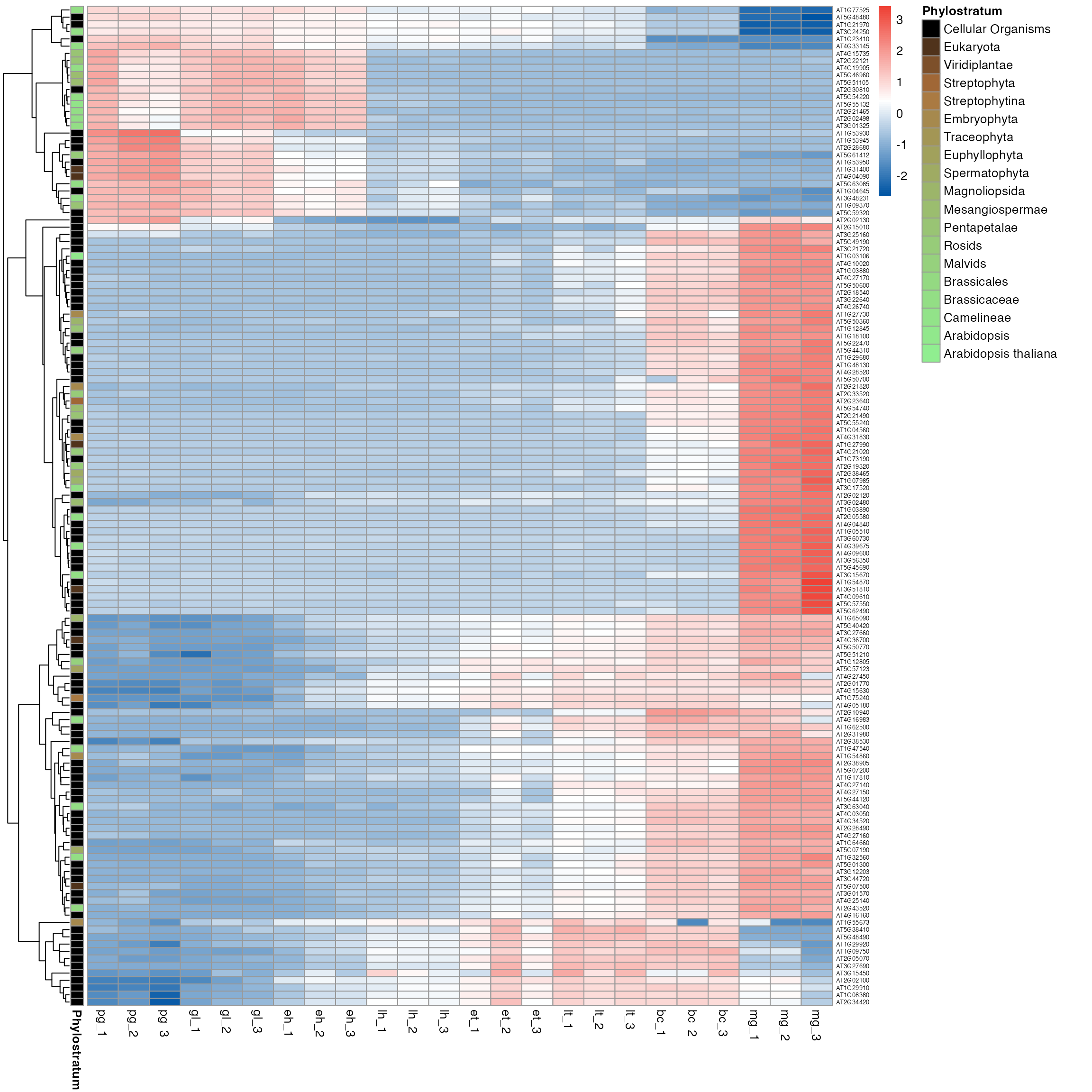 plot_gene_heatmap function output clustered
