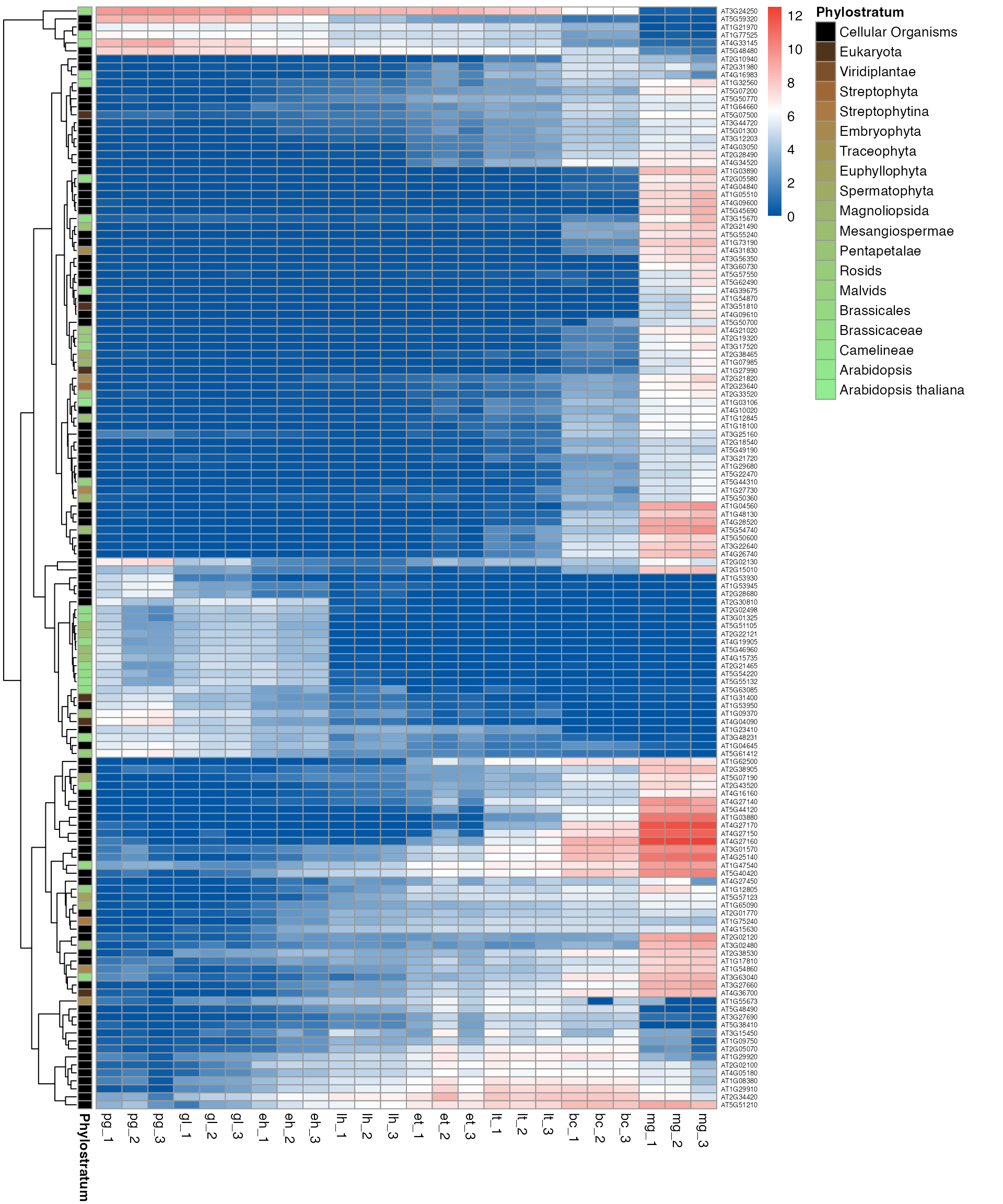 plot_gene_heatmap function output nonstd